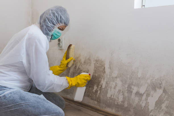 Best Residential Mold Removal  in Sweeny, TX