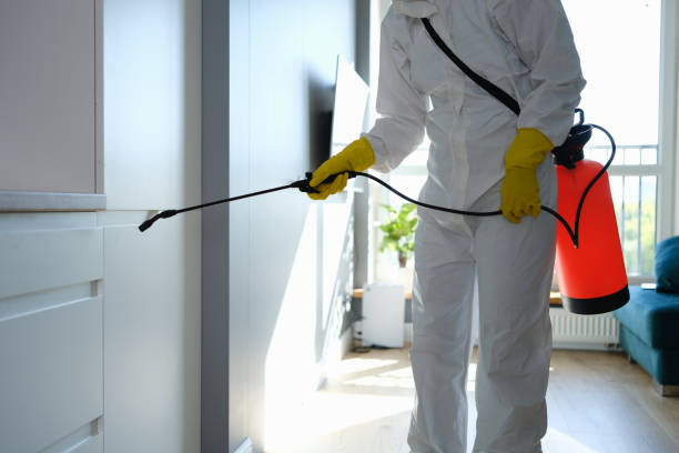 Crawl Space Mold Removal in Sweeny, TX