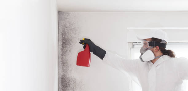 Best Residential Mold Removal  in Sweeny, TX