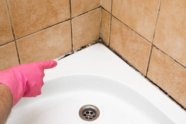 Best Affordable Mold Removal  in Sweeny, TX